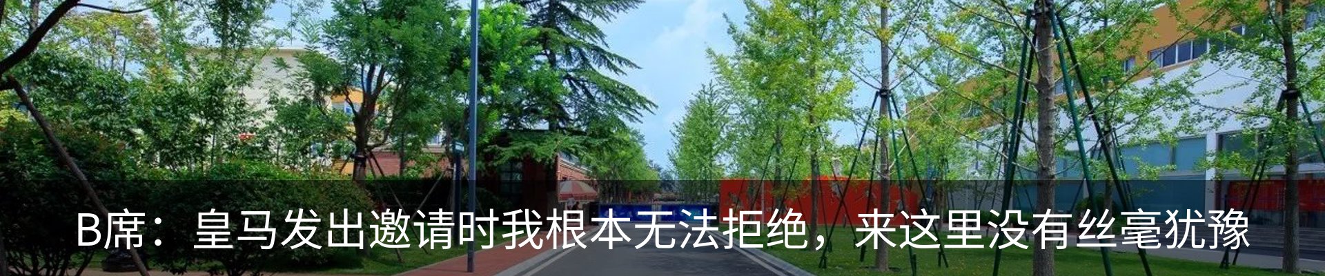 最新动态